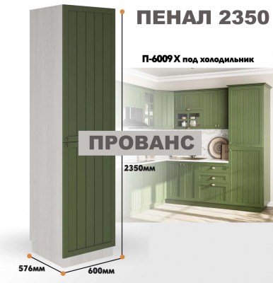 provans_p_6009 x_1